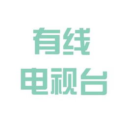 营口电视台与营口天禹网络工作环境对比分析