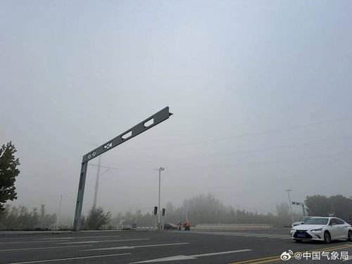 雾锁滨城 营口今晨遭遇大雾天气，市民出行需谨慎